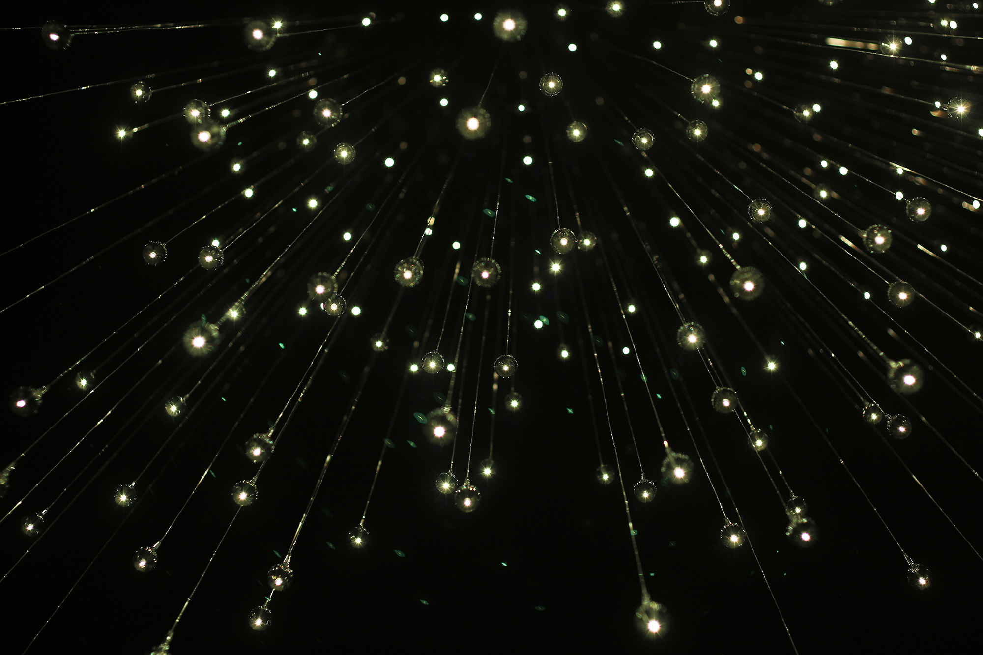 Olive-Witch-Photo-Lightbulbs